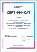 Сертификат участника вебинара "Экологическое воспитание в ДОУ и школе"
Инновации детям
2020